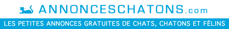Annonceschatons.com - Petites annonces gratuites chats, chatons et f�lins