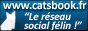 CatsBook.fr : Le r�seau social f�lin !