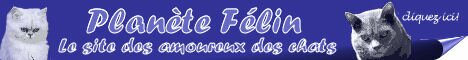 Plan&egrave;te F&eacute;lin
